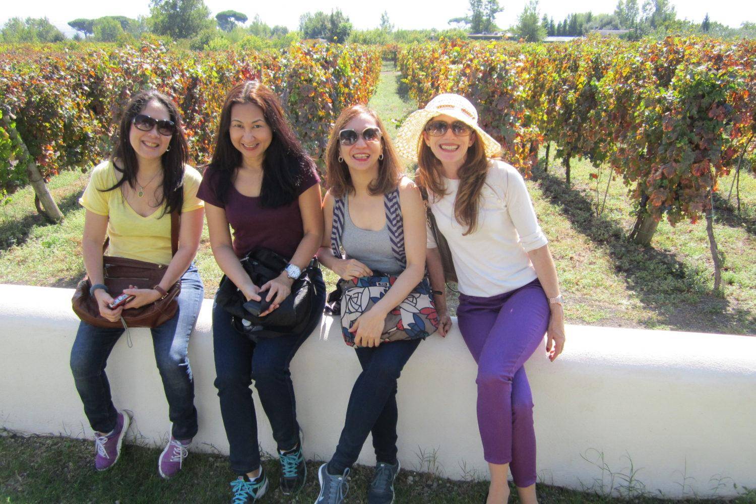 Journeying through the ancient echoes of Pompeii, the haunting beauty of Herculaneum, and concluding the day with the exquisite taste of local wines at a charming winery. A private tour that blends history, culture, and the flavors of the Campania region.
