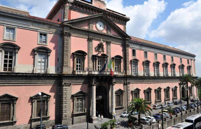 Immersing in the timeless tales of Herculaneum, feeling the pulse of Naples, and exploring treasures at the Archaeological Museum. A private tour that blends ancient wonders, city vibes, and curated artifacts, creating a mosaic of history and culture.
