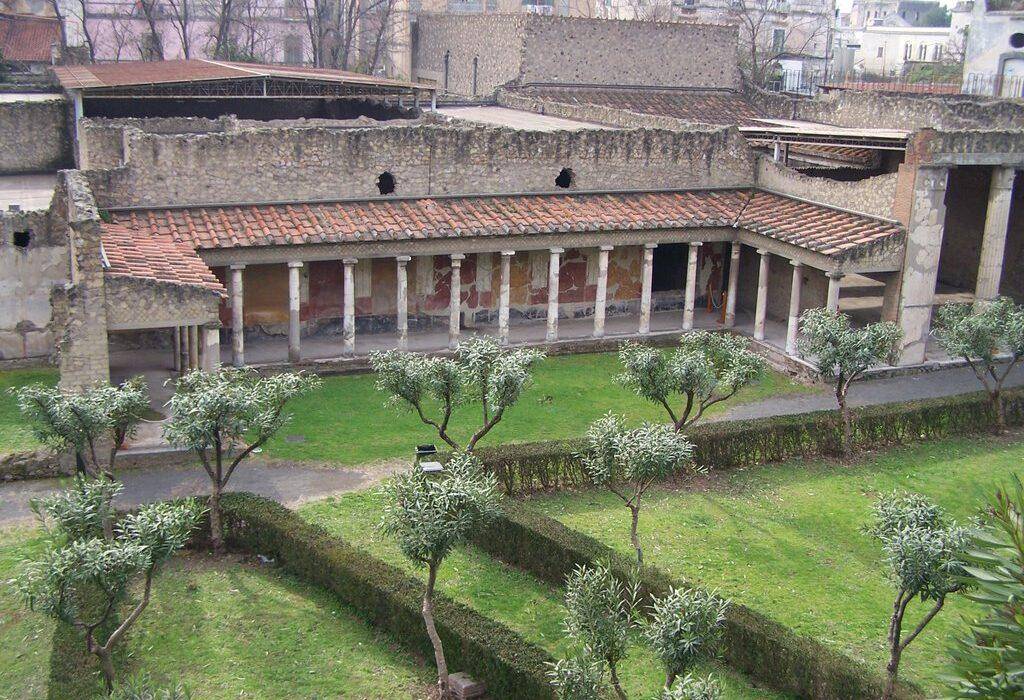 Ascending the mighty Mount Vesuvius, delving into the ruins of Stabiae, and unraveling the ancient mysteries of Oplontis. A private tour where each step echoes with the tales of fire, history, and resilience.