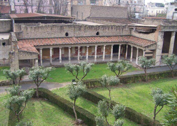 Mount Vesuvius Stabiae and Oplontis private tour