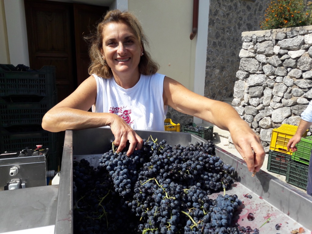 raito winery in vietri